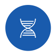 圖片名稱(chēng)